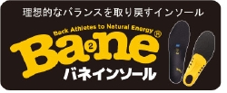 バネロゴ2011.jpg
