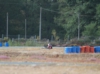 17.JPG